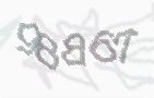 CAPTCHA-Bild zum Spam-Schutz 