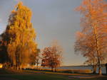 Herbst in Hainz am See - Petting am Waginger See